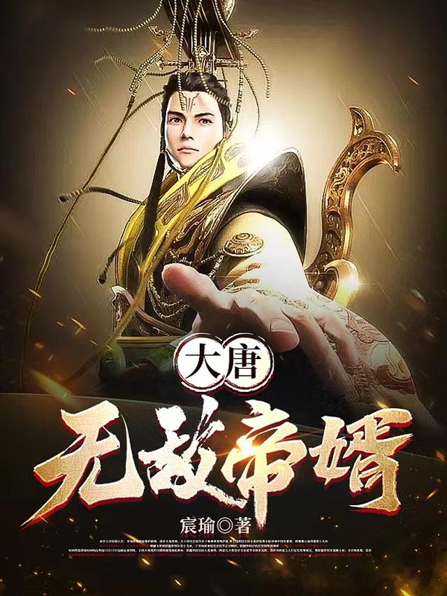 大唐：无敌帝婿